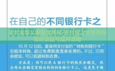 支付宝怎么赌球世界杯-支付宝上的世界杯赌球误区与应对策略