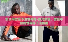 怎么用微信下注世界杯-微光聚焦，微信平台的世界杯下注指南