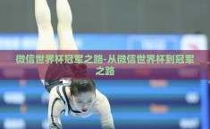 微信世界杯冠军之路-从微信世界杯到冠军之路