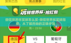 微信世界杯买球怎么买-微信世界杯买球指南，从了解开始的正确步骤