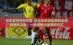 日本买世界杯彩票-在日本购买世界杯彩票的奇妙之旅，一场激情与展望的交汇