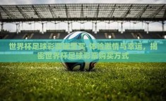 世界杯足球彩票哪里买-体验激情与幸运，揭密世界杯足球彩票购买方式