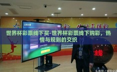 世界杯彩票线下买-世界杯彩票线下购彩，热情与规则的交织