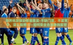 世界杯足球彩票哪里买-不缺门票，不买黄牛，深入指南——如何安全合法地购买世界杯足球彩票