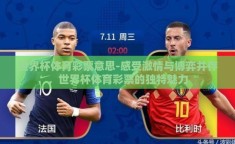 世界杯体育彩票意思-感受激情与博弈并存，世界杯体育彩票的独特魅力