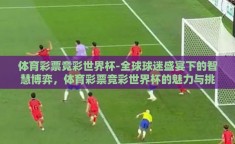 体育彩票竞彩世界杯-全球球迷盛宴下的智慧博弈，体育彩票竞彩世界杯的魅力与挑战