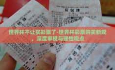 世界杯不让买彩票了-世界杯彩票购买新规，深度审视与理性观点