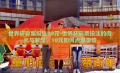 世界杯彩票投注10元-世界杯彩票投注的微光与梦想，10元如何点燃激情
