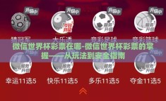 微信世界杯彩票在哪-微信世界杯彩票的掌握——从玩法到安全指南