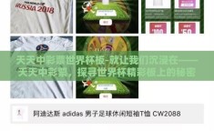 天天中彩票世界杯板-就让我们沉浸在——天天中彩票，探寻世界杯精彩板上的秘密