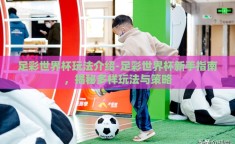 足彩世界杯玩法介绍-足彩世界杯新手指南，揭秘多样玩法与策略