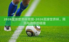 2026足球世界杯竞猜-2026足球世界杯，预测与激情的碰撞