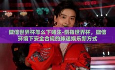 微信世界杯怎么下赌注-剑指世界杯，微信环境下安全合规的球迷娱乐新方式