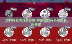 世界杯在哪儿买彩票-探索世界杯彩票购买新体验