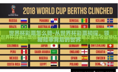 世界杯彩票怎么赔-从世界杯彩票初探，领略赔率背后的世界