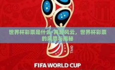 世界杯彩票是什么-再起风云，世界杯彩票的风靡与揭秘