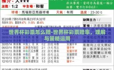 世界杯彩票怎么赔-世界杯彩票赔率，理解与策略运用