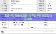 世界杯彩票去哪里买-探寻世界杯彩票的购买之道