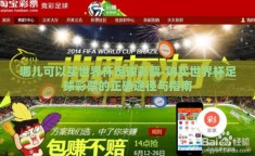 哪儿可以买世界杯足球彩票-购买世界杯足球彩票的正确途径与指南