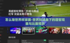 怎么赌世界杯球赛-世界杯球赛下的理智观赛与比赛预测