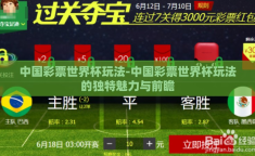 中国彩票世界杯玩法-中国彩票世界杯玩法的独特魅力与前瞻