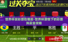 世界杯买彩票在哪买-世界杯激情下的彩票购买全攻略