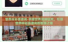 世界杯彩票查询-掌握世界足球狂欢，引领世界杯彩票查询的智慧之旅