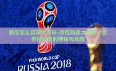 微信怎么买球世界杯-微信购球大战前，世界杯期间的神秘与风险