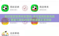 支付宝买世界杯彩票吗-支付宝购彩新风尚，便捷与安全的世界杯足球彩票体验