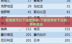 在哪里可以下注世界杯-了解世界杯下注的多种途径