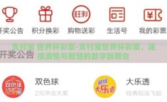 支付宝 世界杯彩票-支付宝世界杯彩票，连接激情与智慧的数字新舞台
