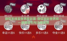 微信怎样买世界杯彩票-微信购彩世界杯——简单指引与注意事项