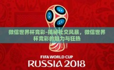 微信世界杯竞彩-揭秘社交风暴，微信世界杯竞彩的魅力与狂热
