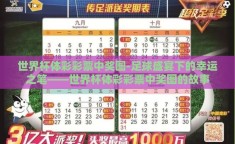 世界杯体彩彩票中奖图-足球盛宴下的幸运之笔——世界杯体彩彩票中奖图的故事