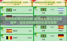 世界杯彩票玩法说明-世界杯彩票玩法深度解析，洞见竞猜赛场的乐趣与策略