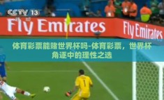 体育彩票能赌世界杯吗-体育彩票，世界杯角逐中的理性之选