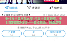支付宝世界杯怎么买-乐享世界杯惊喜，支付宝购彩新体验——轻点指尖，热血尽在此刻！