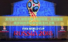 支付宝怎么赌世界杯-把握辉煌，支付宝在俄罗斯世界杯的智能支付之舞
