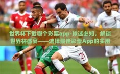 世界杯下载哪个彩票app-球迷必知，解锁世界杯盛宴——选择最佳彩票App的实用指南