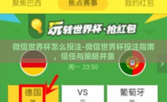 微信世界杯怎么投注-微信世界杯投注指南，信任与策略并重