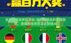 支付宝买世界杯足彩-支付宝背后的足球热情，便捷购世界杯足彩新体验