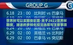 世界杯可以买那些彩票-关于2022世界杯期间，球迷的多样化投注选择与注意事项的深度解析