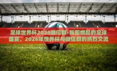 足球世界杯2026微信群-氛围燃起的足球盛宴，2026年世界杯与微信群的热烈交流
