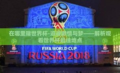 在哪里赌世界杯-追寻激情与梦——解析观看世界杯最佳地点