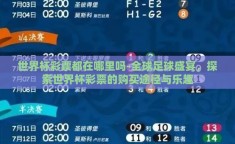 世界杯彩票都在哪里吗-全球足球盛宴，探索世界杯彩票的购买途径与乐趣