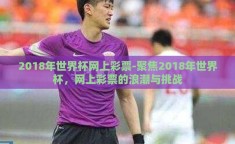 2018年世界杯网上彩票-聚焦2018年世界杯，网上彩票的浪潮与挑战