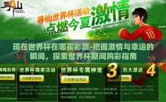 现在世界杯在哪买彩票-把握激情与幸运的瞬间，探索世界杯期间购彩指南