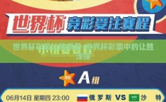 世界杯彩票让胜意思-世界杯彩票中的让胜浅探