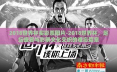2018世界杯买彩票图片-2018世界杯，足坛盛宴与彩票文化交织的难忘篇章