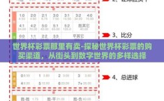 世界杯彩票那里有卖-探秘世界杯彩票的购买渠道，从街头到数字世界的多样选择